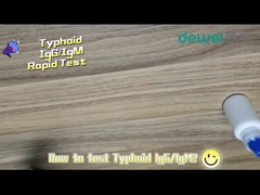 Kit per test rapido tifoide da 15 minuti Feci Siero Campione di plasma Test dell'antigene di Salmonella Typhi