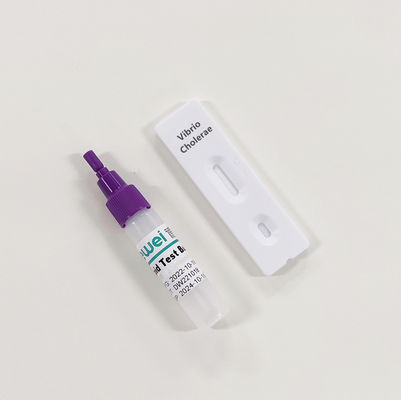 CE Vibrio Cholerae Rapid Test Kit O1/O139 Stool Detection Qualitative Rapid Test