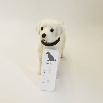 Veterinary diagnostic tests Canine Parvo Virus Antigen Rapid Test Kits (CPV Ag)