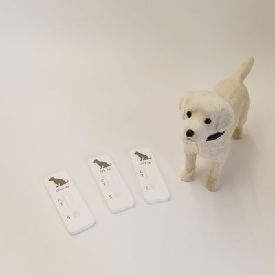 Canine Parvovirus CPV Antigen Rapid Test Kit Veterinary Rapid Diagnostic Test Kit