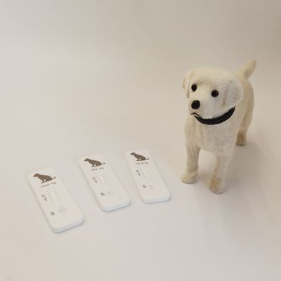 Canine Adenovirus-II (CAV II ) Antigen Rapid Test Veterinary Rapid Diagnostic Test Kit