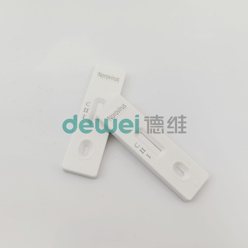 Fast and Accurate Stool Norovirus Antigen Detection with Noro Quick Test Format Cassette